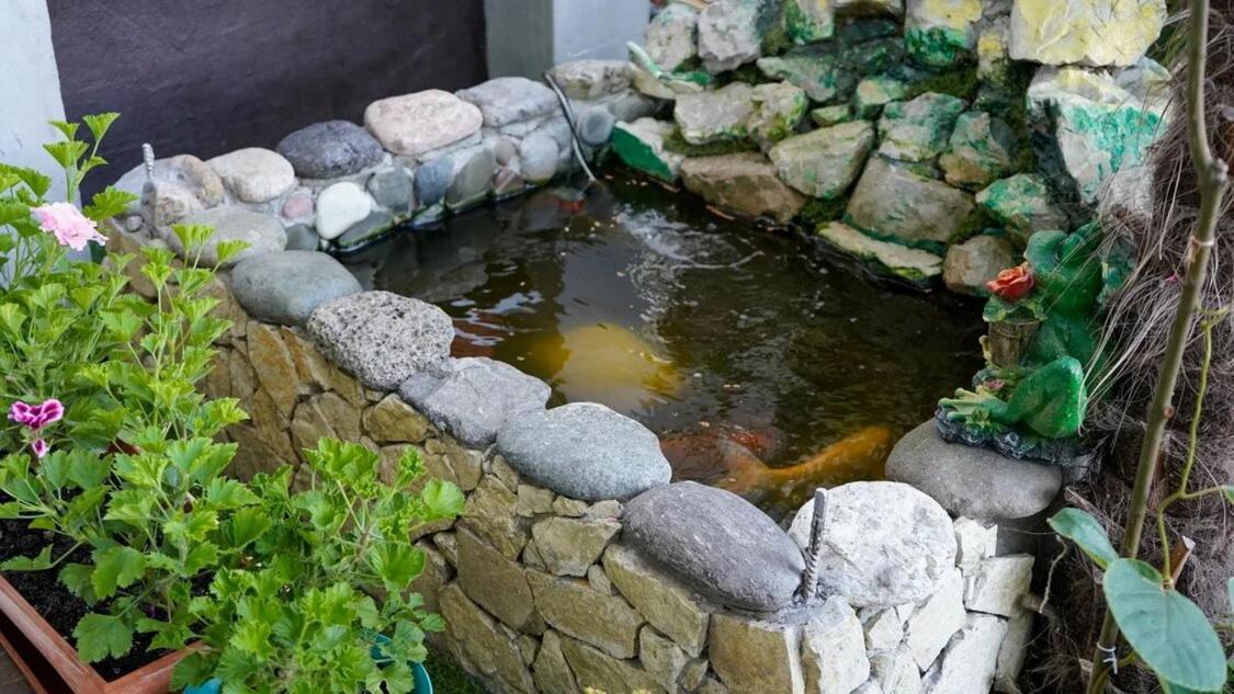Вита Гагра 外观 照片